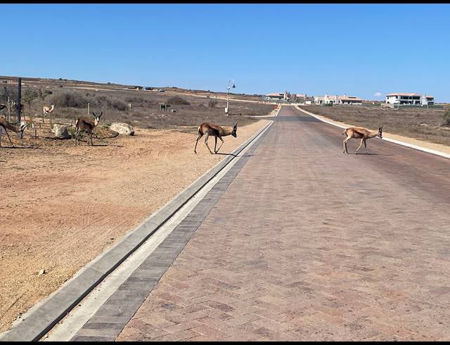 685M² VACANT LAND FOR SALE IN LANGEBAAN COUNTRY ESTATE